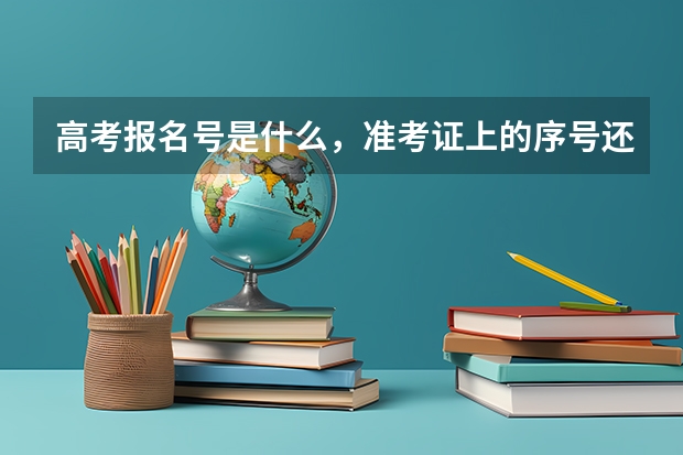 高考报名号是什么，准考证上的序号还是