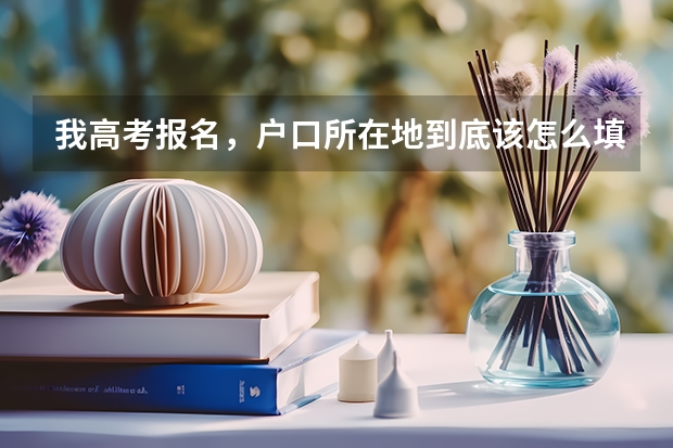 我高考报名，户口所在地到底该怎么填。