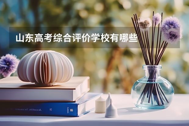 山东高考综合评价学校有哪些