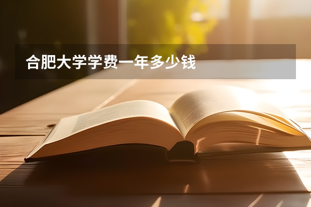 合肥大学学费一年多少钱