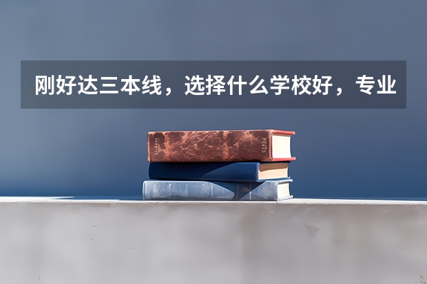 刚好达三本线，选择什么学校好，专业呢