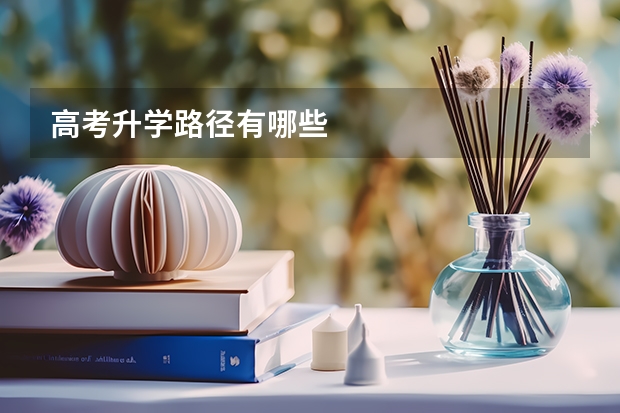 高考升学路径有哪些
