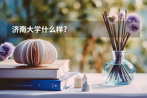 济南大学什么样?