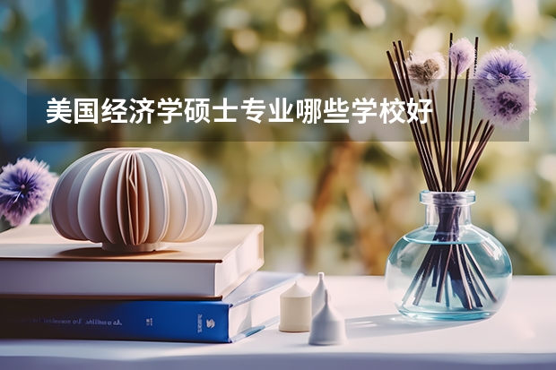美国经济学硕士专业哪些学校好