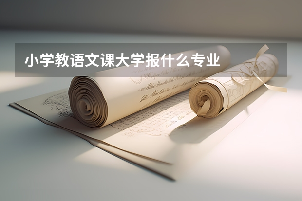 小学教语文课大学报什么专业