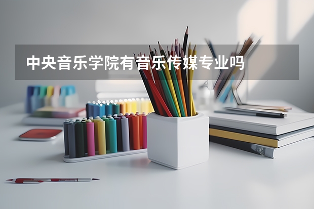 中央音乐学院有音乐传媒专业吗