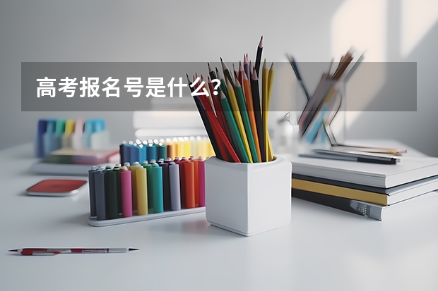 高考报名号是什么？