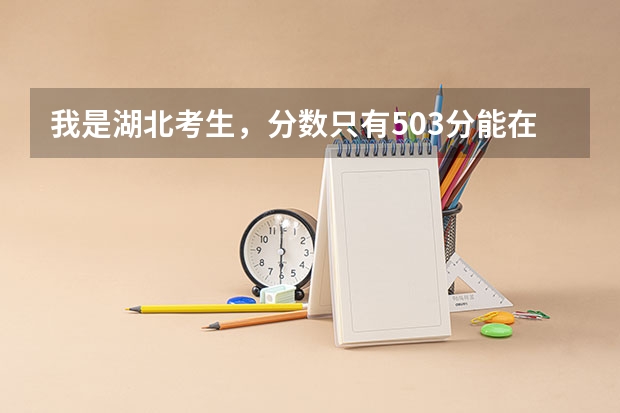 我是湖北考生，分数只有503分能在湖北省上二本（二）的院校吗