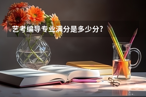 艺考编导专业满分是多少分?