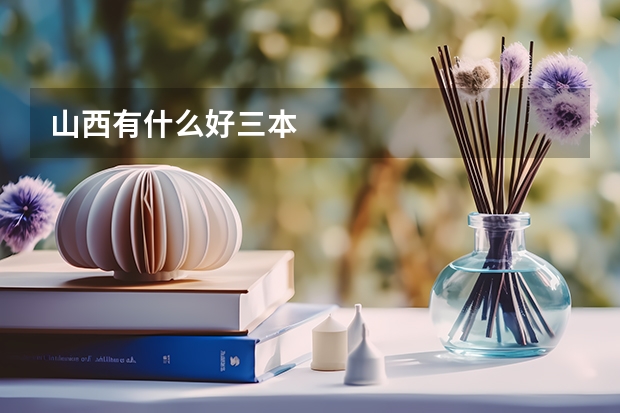 山西有什么好三本