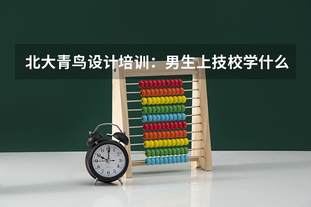北大青鸟设计培训：男生上技校学什么好？