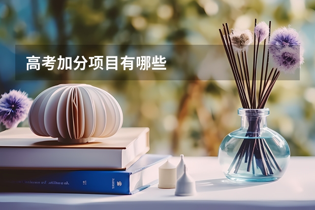 高考加分项目有哪些