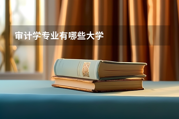 审计学专业有哪些大学