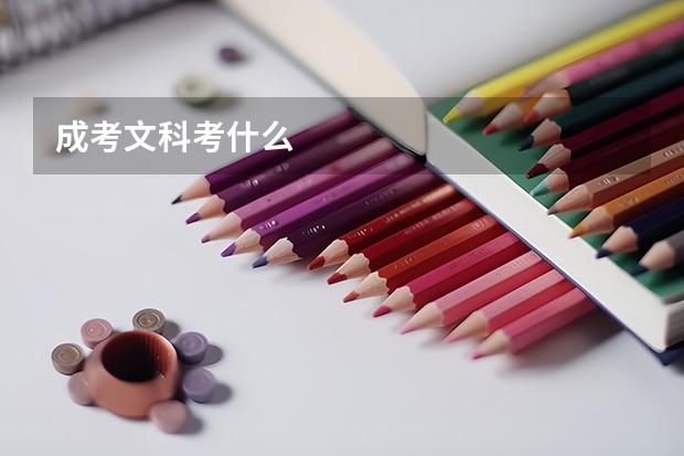 成考文科考什么