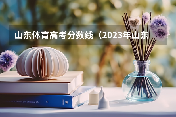 山东体育高考分数线（2023年山东高考体育分数标准）