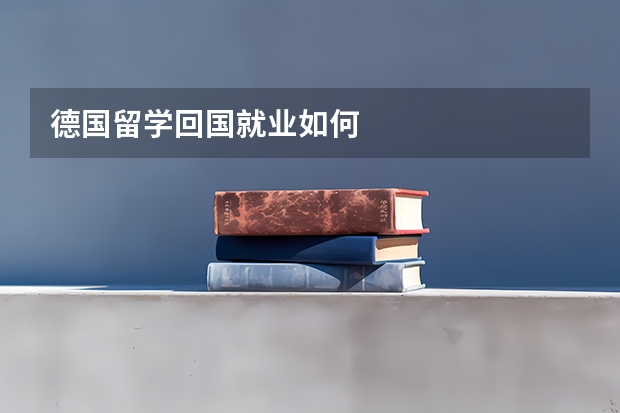 德国留学回国就业如何