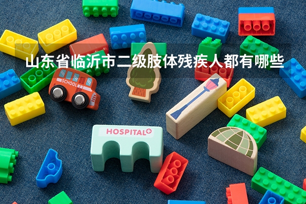 山东省临沂市二级肢体残疾人都有哪些补助
