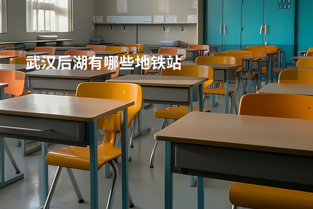 武汉后湖有哪些地铁站