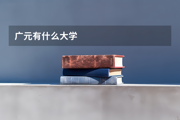 广元有什么大学