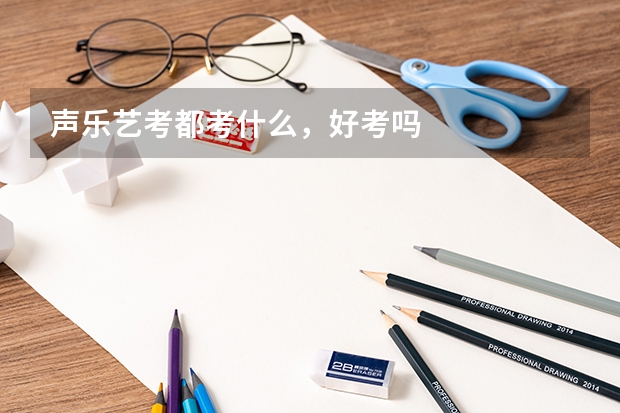 声乐艺考都考什么，好考吗