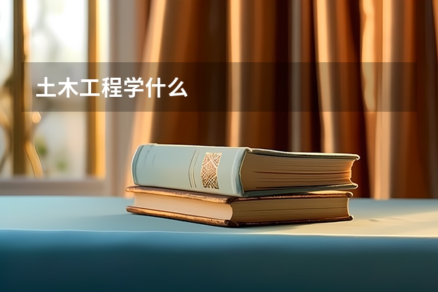 土木工程学什么
