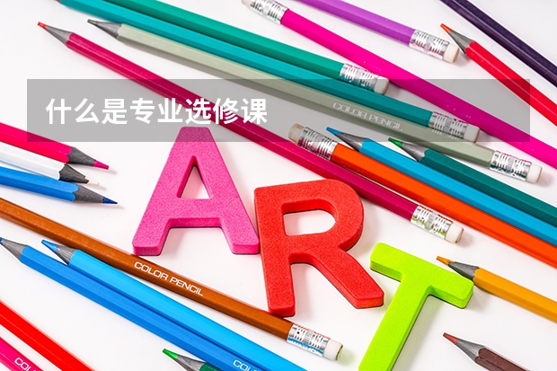 什么是专业选修课