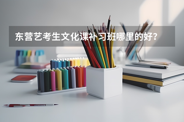 东营艺考生文化课补习班哪里的好？
