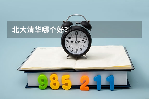 北大清华哪个好？