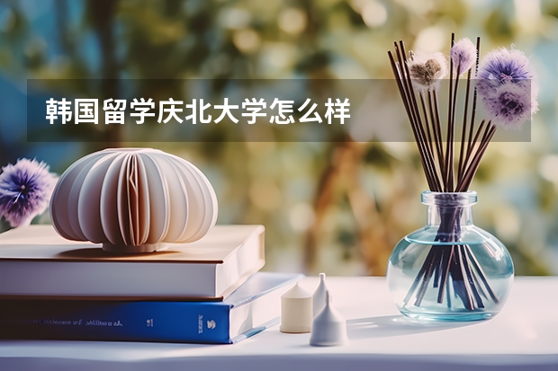 韩国留学庆北大学怎么样