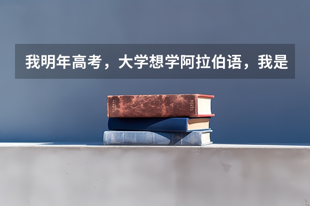 我明年高考，大学想学阿拉伯语，我是山东的，请问本科有哪些学校可以报考啊？