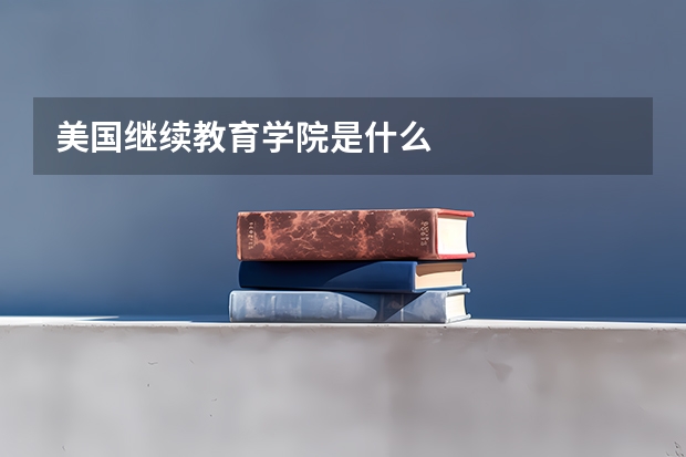 美国继续教育学院是什么