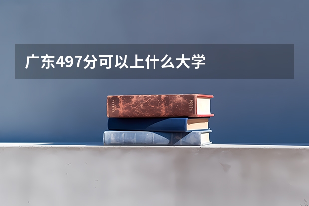 广东497分可以上什么大学
