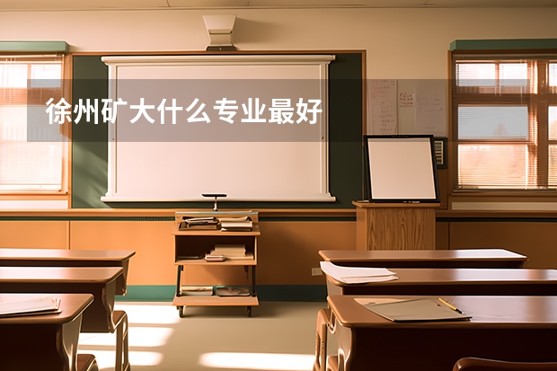 徐州矿大什么专业最好