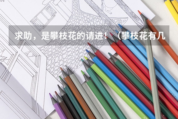 求助，是攀枝花的请进！（攀枝花有几个大学）