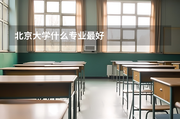 北京大学什么专业最好