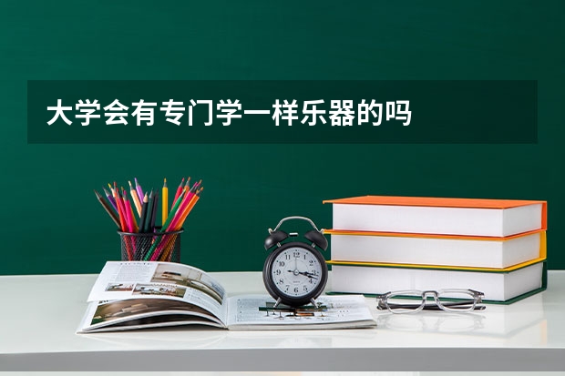 大学会有专门学一样乐器的吗