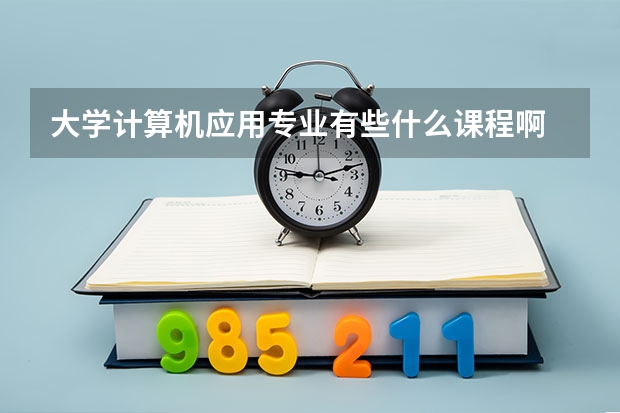 大学计算机应用专业有些什么课程啊