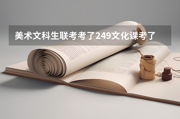 美术文科生联考考了249文化课考了480能上什么大学