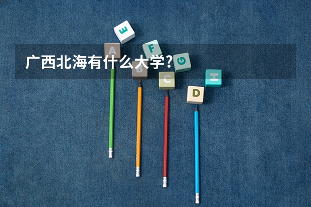 广西北海有什么大学?