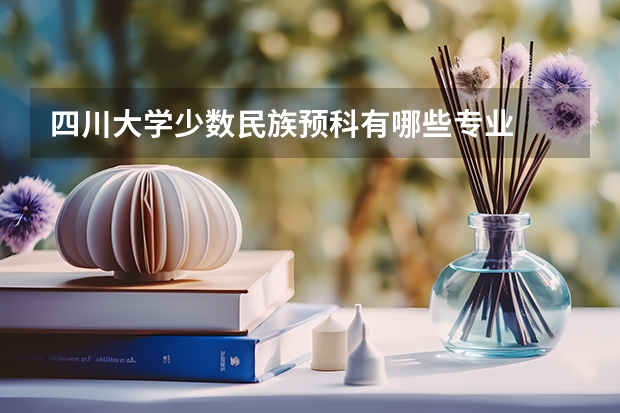 四川大学少数民族预科有哪些专业
