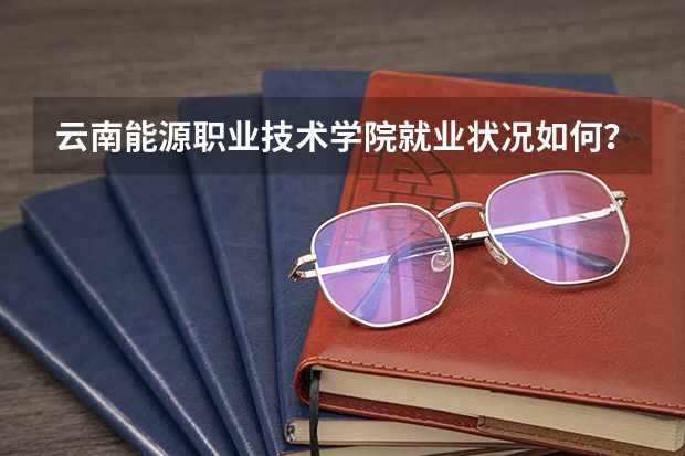 云南能源职业技术学院就业状况如何？