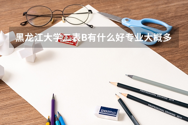 黑龙江大学二表B有什么好专业大概多少分