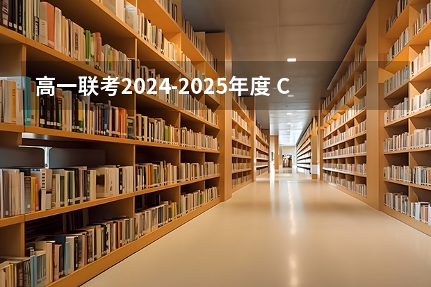 高一联考2024-2025年度 CMF资讯 | 高质价比CMF方向探索、宏观洞察和2024-2025四个年度趋势