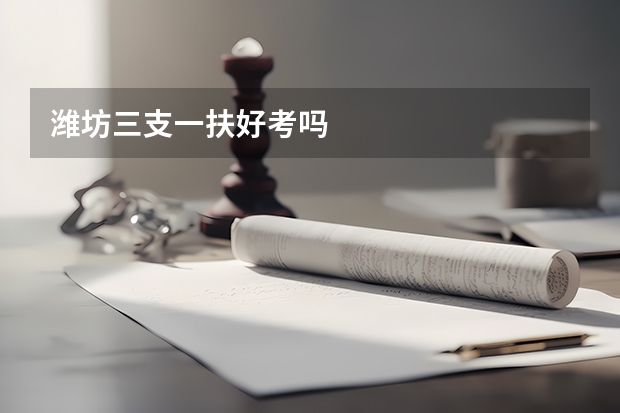潍坊三支一扶好考吗