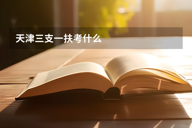 天津三支一扶考什么