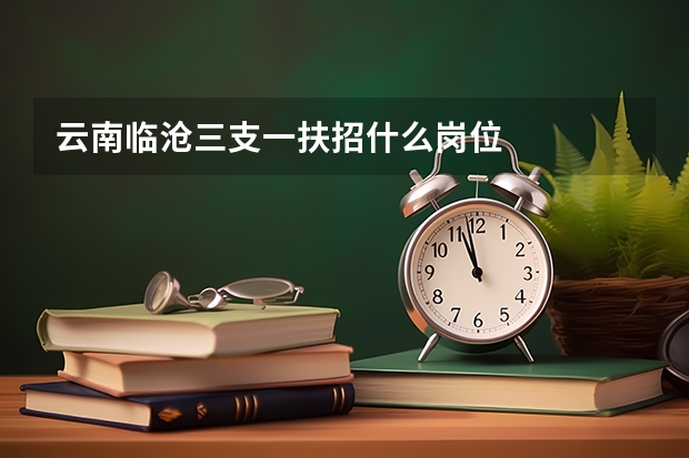云南临沧三支一扶招什么岗位