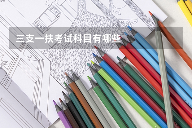 三支一扶考试科目有哪些