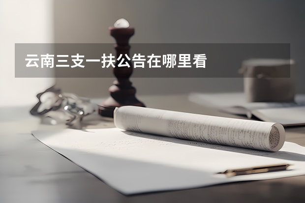 云南三支一扶公告在哪里看