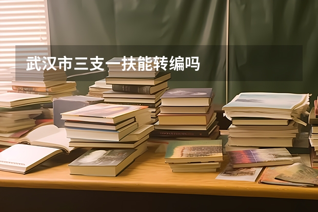 武汉市三支一扶能转编吗