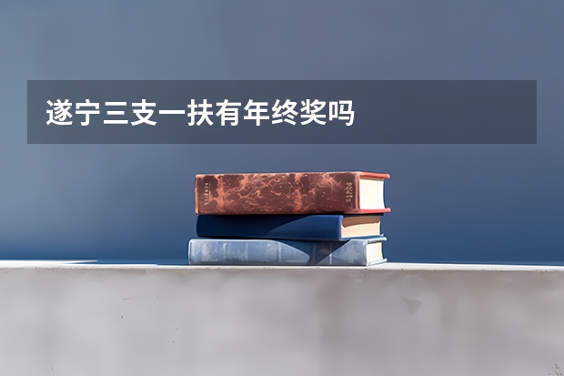 遂宁三支一扶有年终奖吗